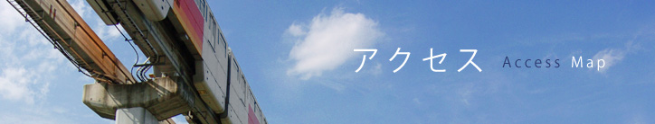 �A�N�Z�X