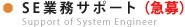 SE�Ɩ��T�|�[�g