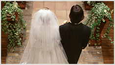 サンプルムービー