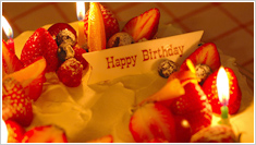 サンプルムービー