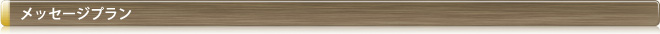 メッセージプラン