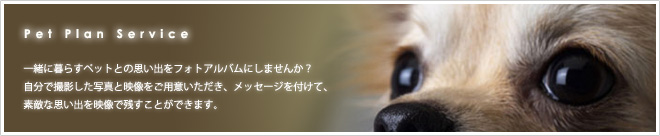 一緒に暮らすペットとの思い出をフォトアルバムにしませんか?
自分で撮影した写真と映像をご用意いただき、メッセージを付けて、素敵な思い出を映像で残すことができます。