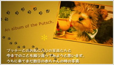 サンプルムービー