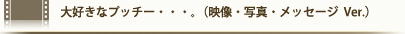 大好きなプッチー・・・。(映像・写真・メッセージ Ver.)
