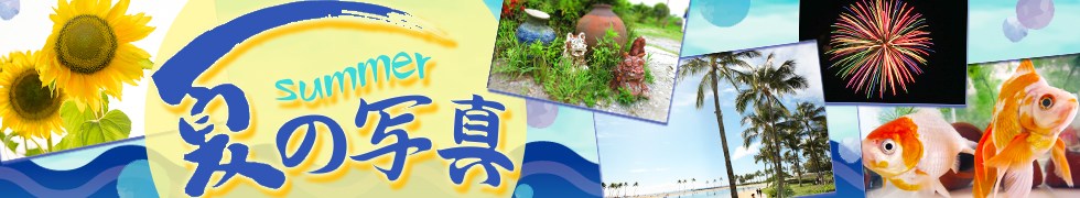 夏の写真